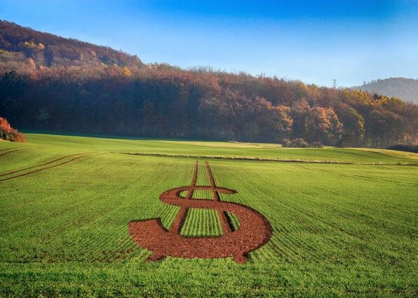 imagem-cifrao-dinheiro-preço-640x427 - garantia-safra Banco do Brasil, Garantia-Safra