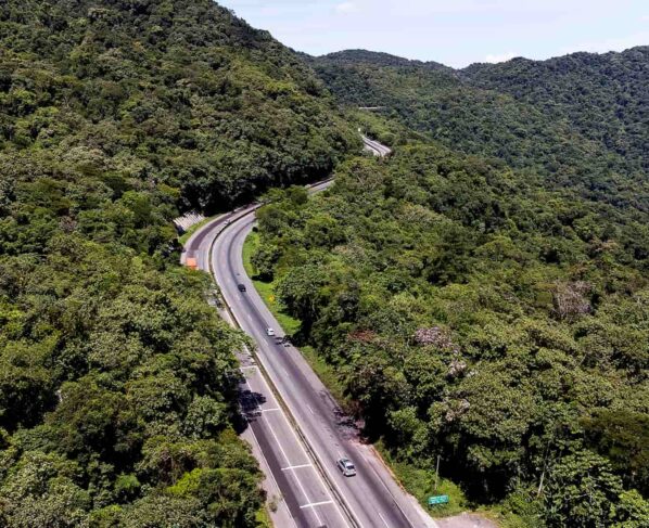 Vista aérea de uma estrada sinuosa cercada por uma densa vegetação verde. Esta imagem ilustra a beleza natural e a tranquilidade da br-277, viaduto dos padres, serra do mar no paraná