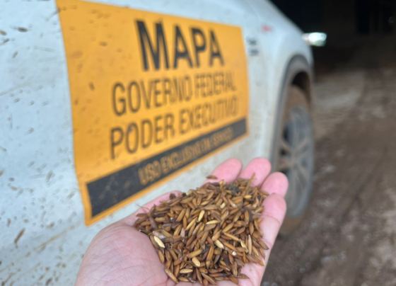 Defesa Agropecuária do Mapa