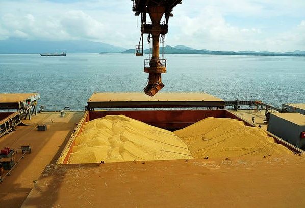soja para exportação