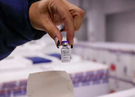 vacinacao contra a dengue no parana