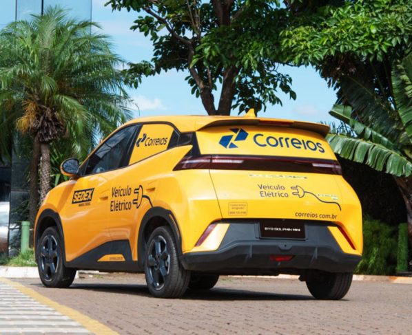 BYD Dolphin Mini Cargo