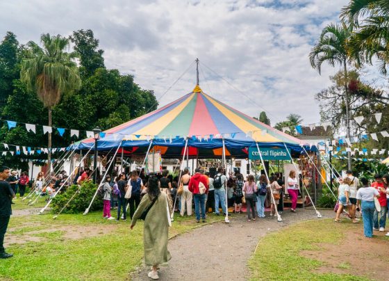 Flip 2025 lança chamada para oficinas artísticas e de cultura popular | © Divulgação