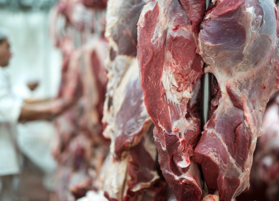 carne bovina frigoríficos