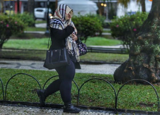Copia de 1 frio no parana