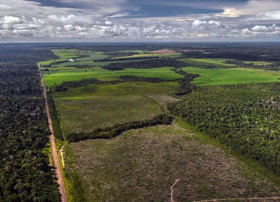 Amazônia Legal