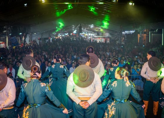 1 festa do divino e show gauchesco