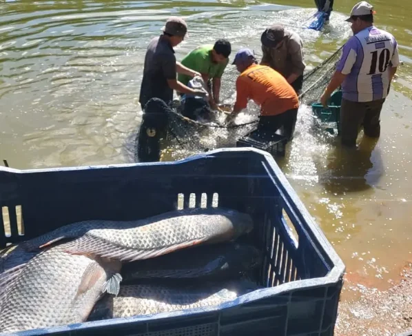 Durante os dois dias de feira, o público poderá encontrar uma variedade de espécies de água doce e de frutos do mar (Foto: Divulgação SEMMADESP)