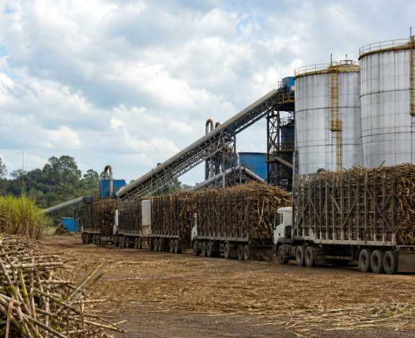 Moagem de cana cai 2,1% no Norte e Nordeste até março