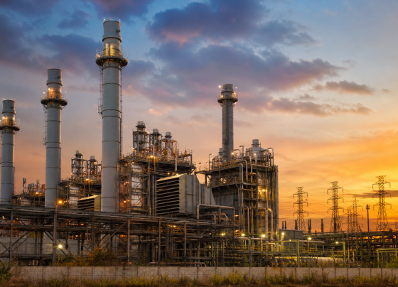 Petrobras pede homologação imediata do leilão de reserva de capacidade