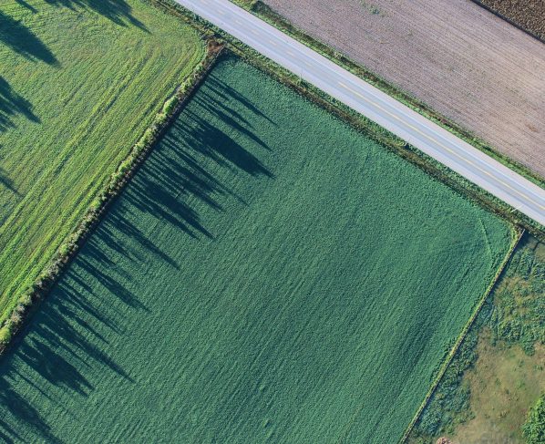 propriedade rural