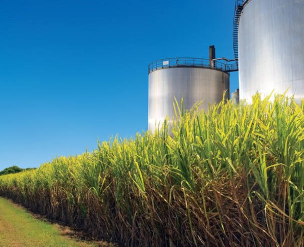 etanol usina cana - produção industrial - mato grosso
