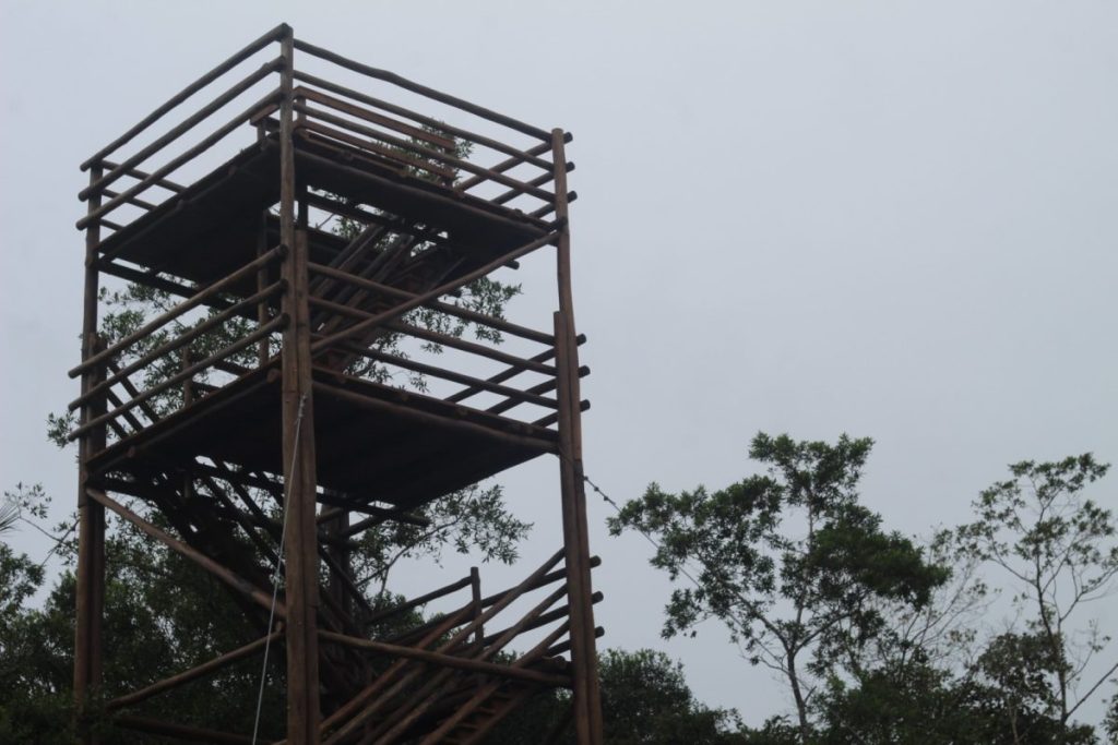 Torre de observação de aves representa avanço para conservação e turismo em Antonina 