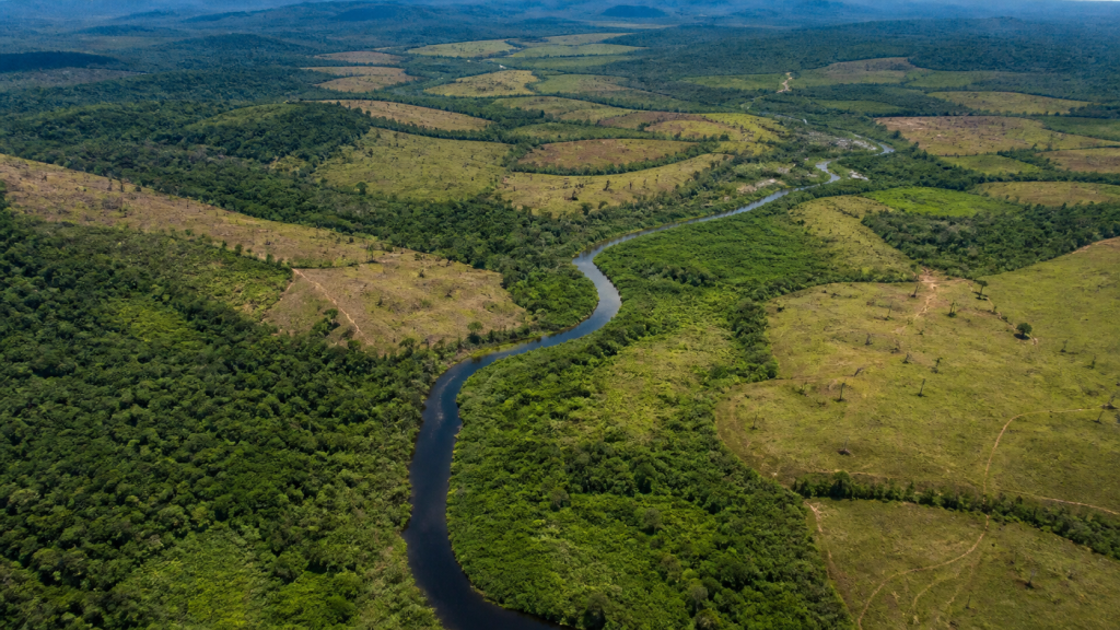 Terras indígenas da Amazônia somam 1,79 milhão de hectares com potencial de restauração