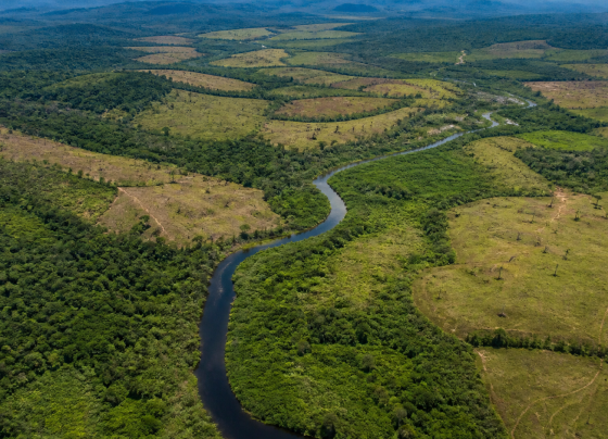 Terras indígenas da Amazônia somam 1,79 milhão de hectares com potencial de restauração