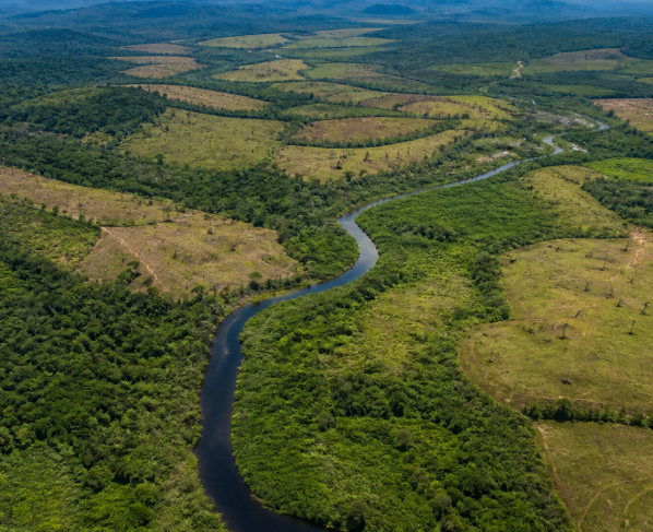 Terras indígenas da Amazônia somam 1,79 milhão de hectares com potencial de restauração
