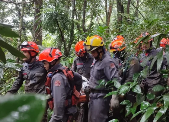 Como trilhas mapeadas ajudam bombeiros em resgates na Serra do Mar