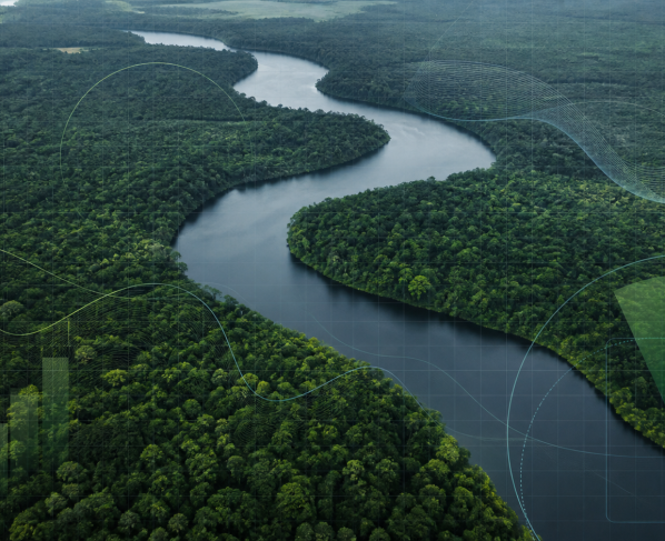 Reino Unido anuncia 400 milhões de libras para Fundo Florestas Tropicais