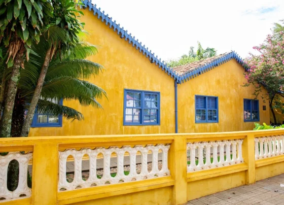 Setembro na Casa de Portinari tem arte, visitas mediadas e produção local; confira programação