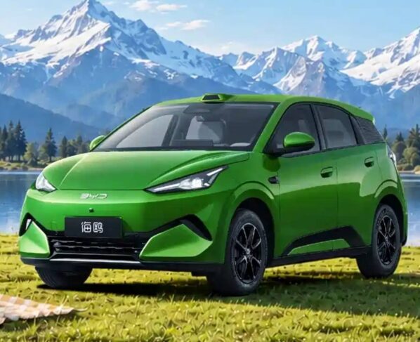 BYD Dolphin Mini