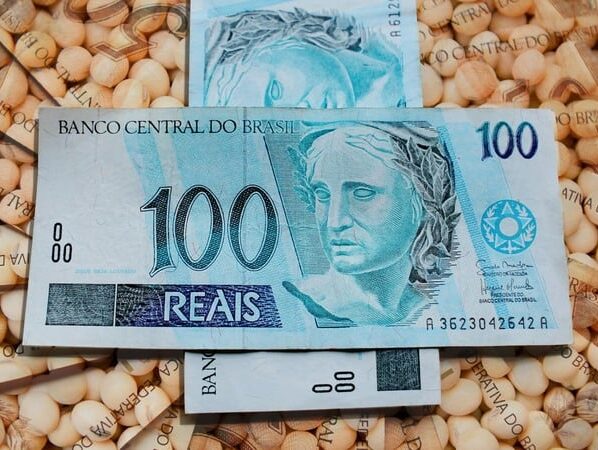 soja, dinheiro, cotação, preço
