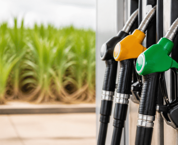 Etanol é mais competitivo que a gasolina em 10 estados e no DF, diz ANP