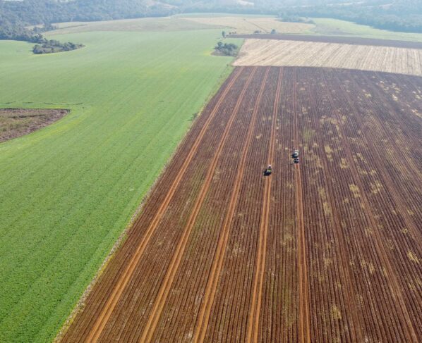 Governo do Estado divulga pesquisa com preços das terras agricultáveis no Paraná